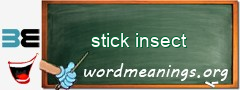 WordMeaning blackboard for stick insect